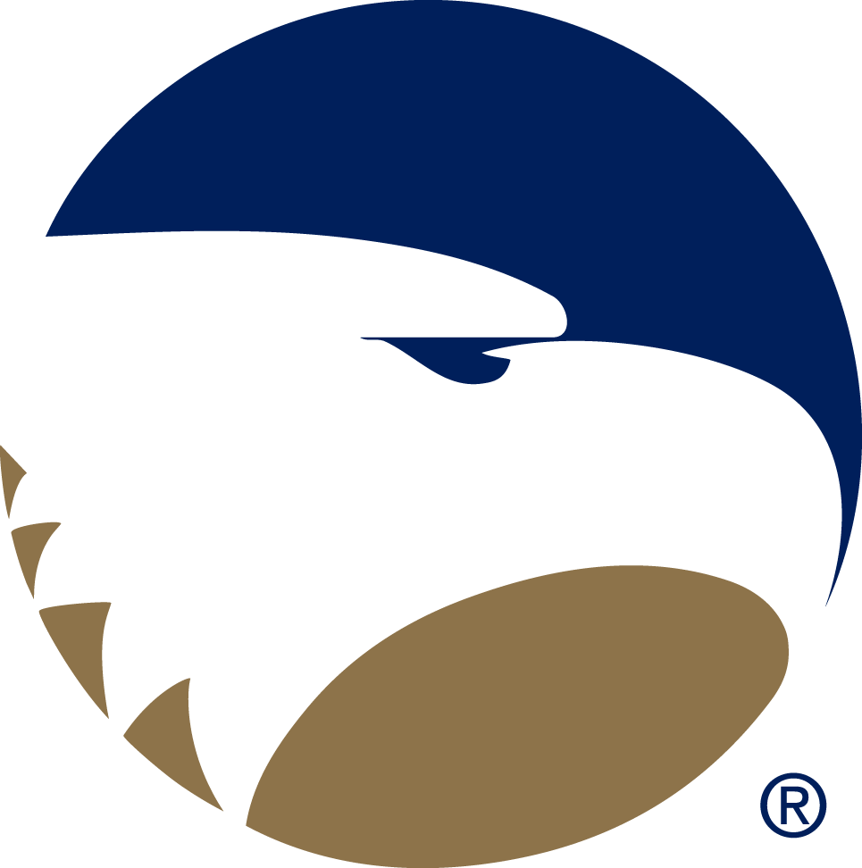 Georgia Southern Eagles 2004-Pres Alternate Logo v3 iron on transfers for clothing